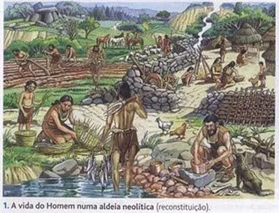 Revolução do Neolítico