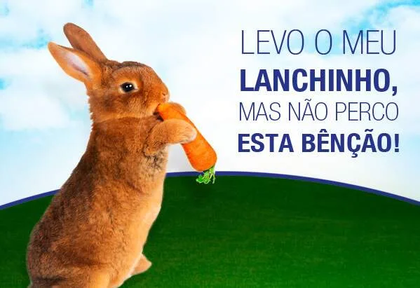 Bênção dos animais