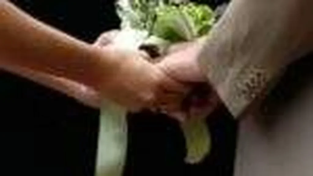 Imagem casamento 8 do artigo O matrimônio entre o céu e a terra
