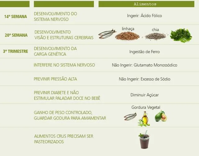 alimentação gestação.jpg