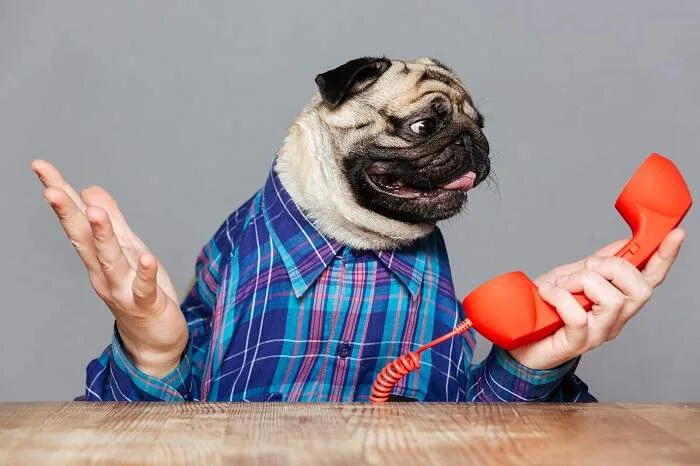 Telefone (Foto:Shutterstock)