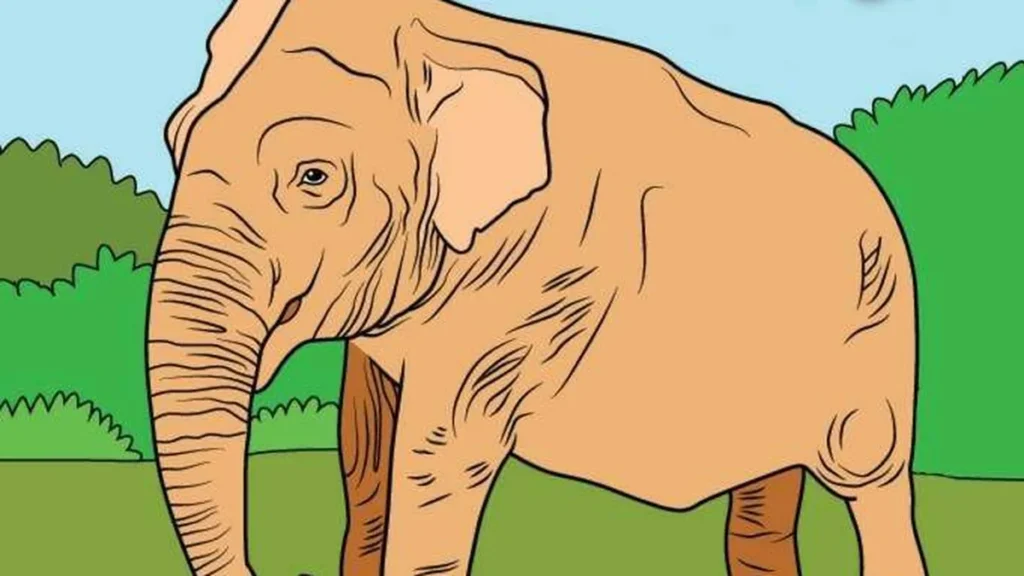 Imagem devotos mirins elefante do artigo Animais do zoológico: 5 fatos sobre o elefante