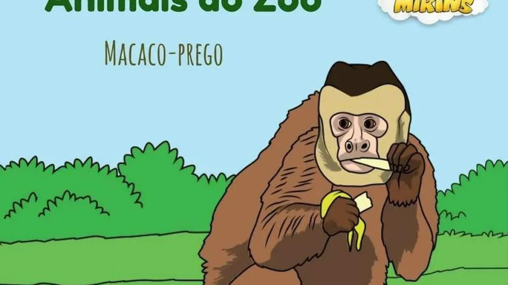 Imagem devotos mirins macaco do artigo Animais do zoológico: 5 fatos sobre o macaco-prego