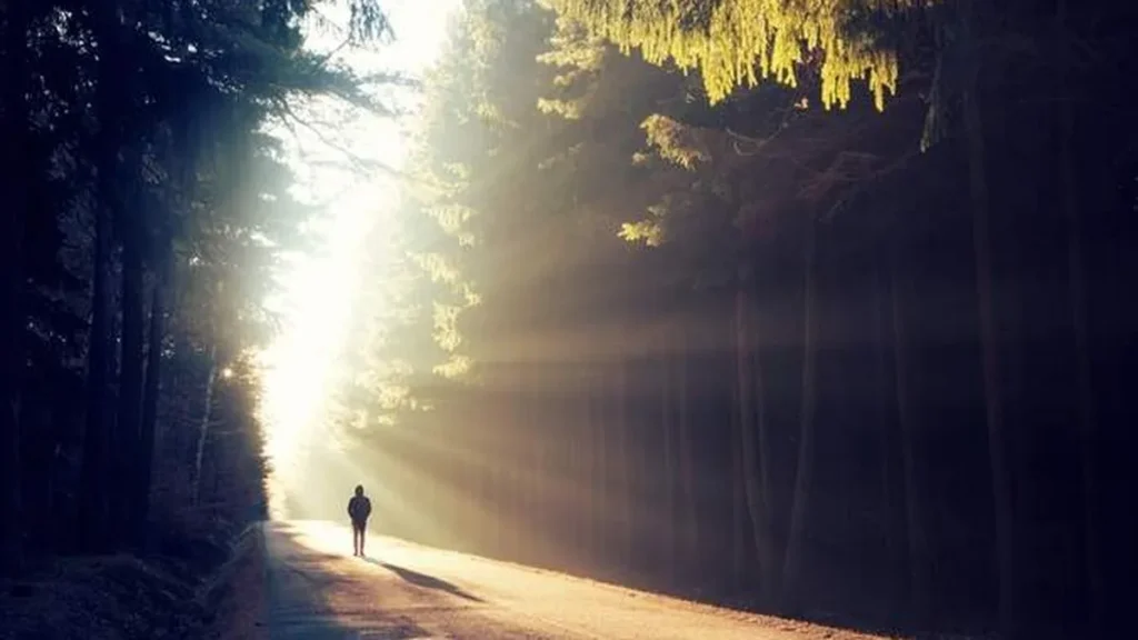 Imagem Caminho iluminado do artigo É bom caminhar com Jesus