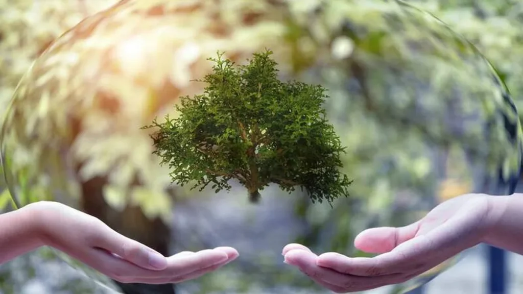 Imagem shutterstock ecologia do artigo Para entender o Sínodo da Amazônia é preciso ler a ‘Laudato sì’