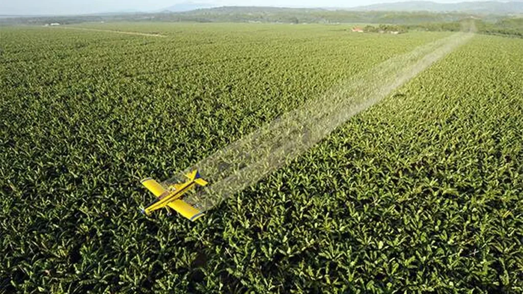 Imagem sb agrotoxico alergia alimentar do artigo Tire dúvidas sobre a liberação de agrotóxicos pelo Ministério da Agricultura