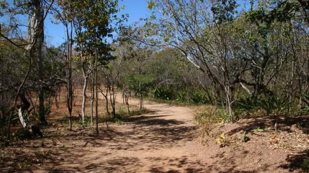 Imagem Caminho do Santo Sepulcro do artigo Conheça o Caminho do Santo Sepulcro em 360º - Juazeiro do Norte (CE)