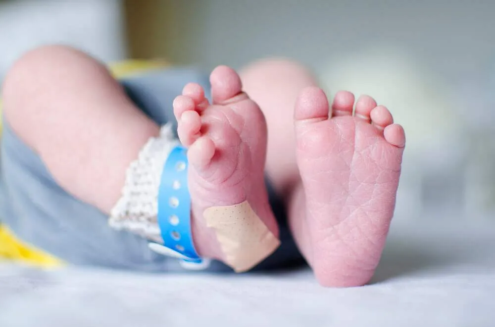 Trossets de Vida/ Shutterstock