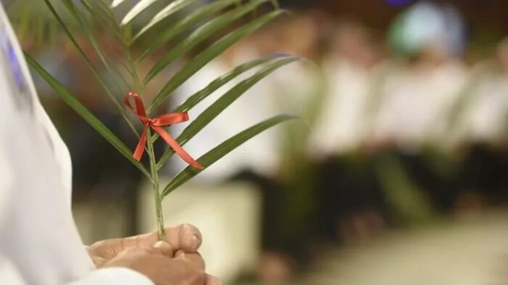 Imagem Domingo de Ramos 2019 do artigo 5 fatos que não te contaram sobre o Domingo de Ramos