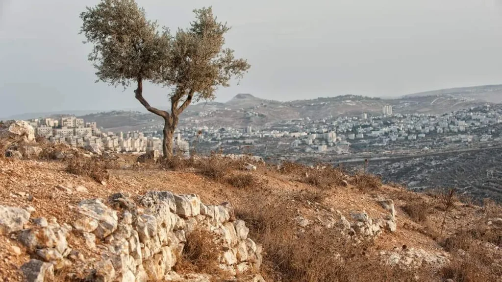 Imagem palestina do artigo O conflito entre Israel e os palestinos