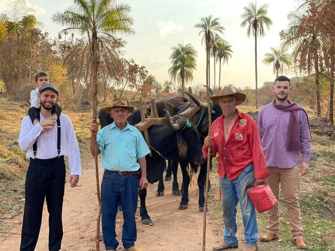 Divulgação