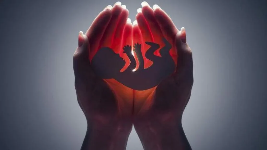 Imagem 1 Aborto 768x427 do artigo Igreja reitera sua posição contrária ao aborto e defende a vida humana
