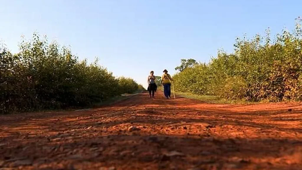 Imagem caminhos da fe do artigo Sinodalidade: caminhar juntos