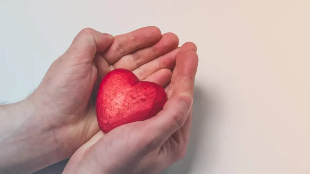 Imagem maos segurando coracao do artigo Não deixe faltar amor em sua vida