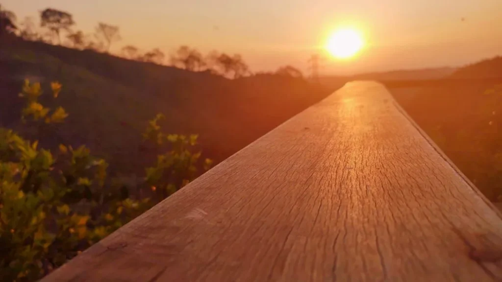Imagem por do sol alaranjado do artigo Contemple a natureza e viva os detalhes do mundo que Deus criou