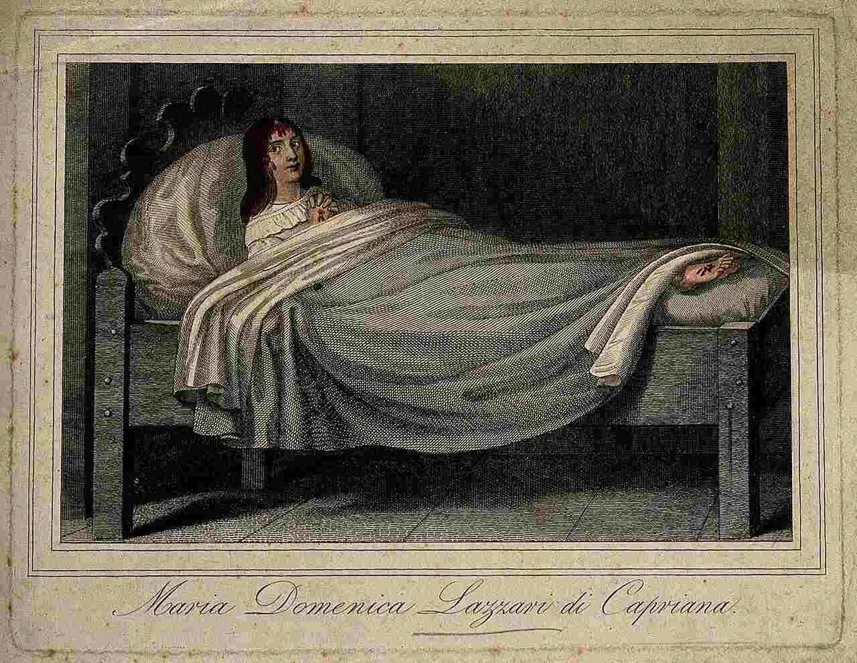 Wikimedia Commons