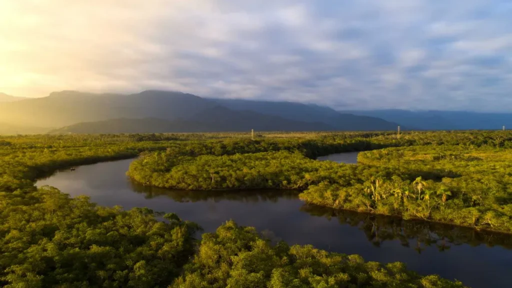 Imagem Floresta Amazonica no Brasil vista de cima do artigo Campanha Laudato Si': A preocupação da Igreja com o meio ambiente
