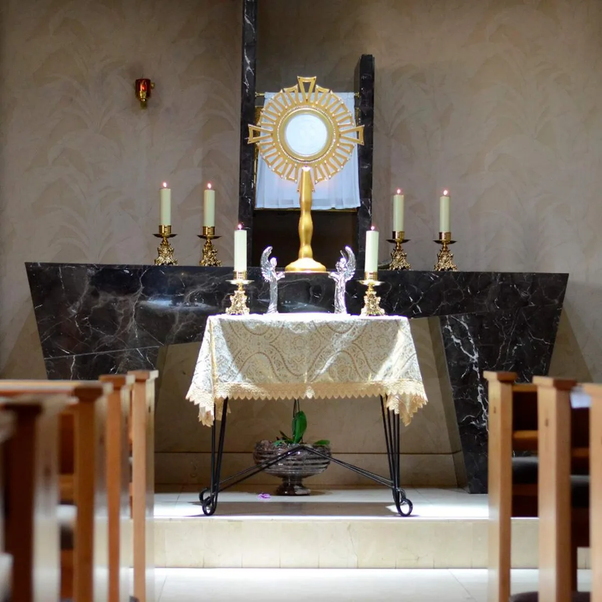 Santuario Sagrada Família - Goiania