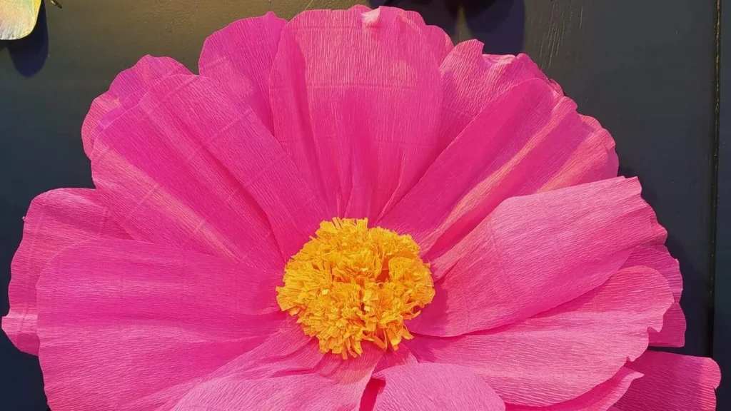 Imagem flor anemona do artigo Flor Anêmona gigante (flor da Primavera) - Faça Você Mesmo