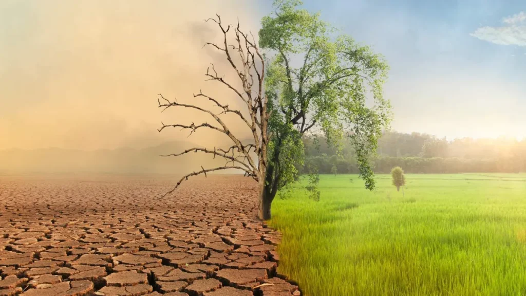 Imagem Mudancas climaticas arvore morta com poluicao do ar e grama verde com bela luz solar do artigo “Laudate Deum”: Exortação do Papa pede respostas à crise que afeta a natureza