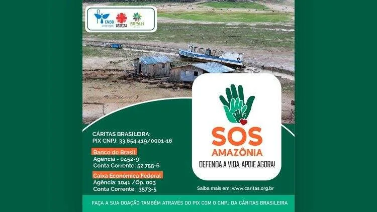 divulgação