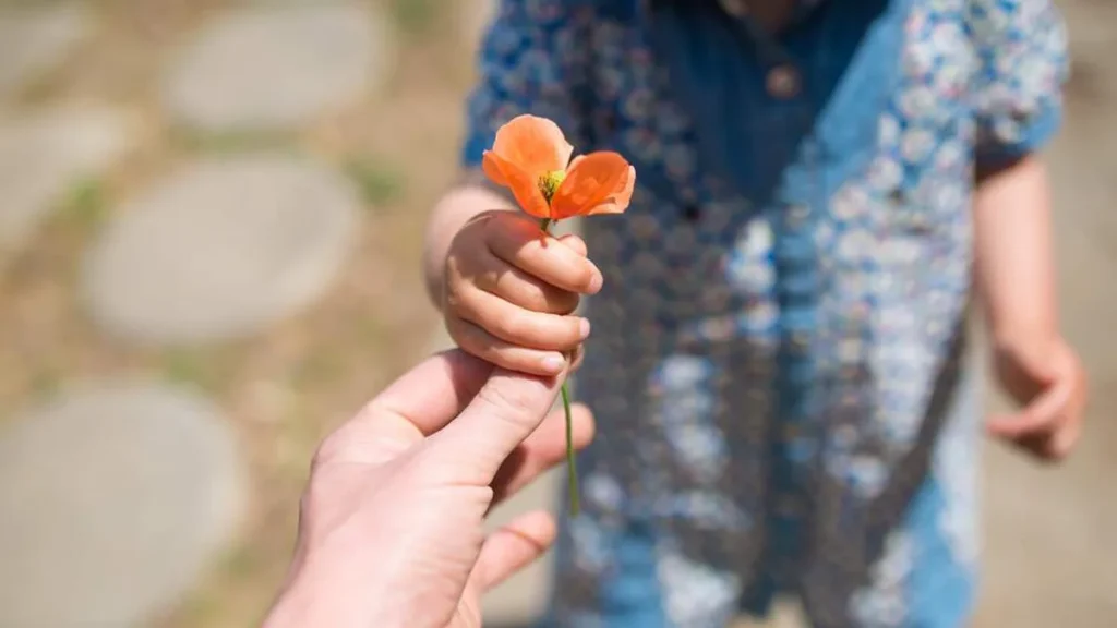Imagem crianca ganhando uma flor do artigo Dia Mundial da Gentileza: atitudes inspiradoras para celebrar a data
