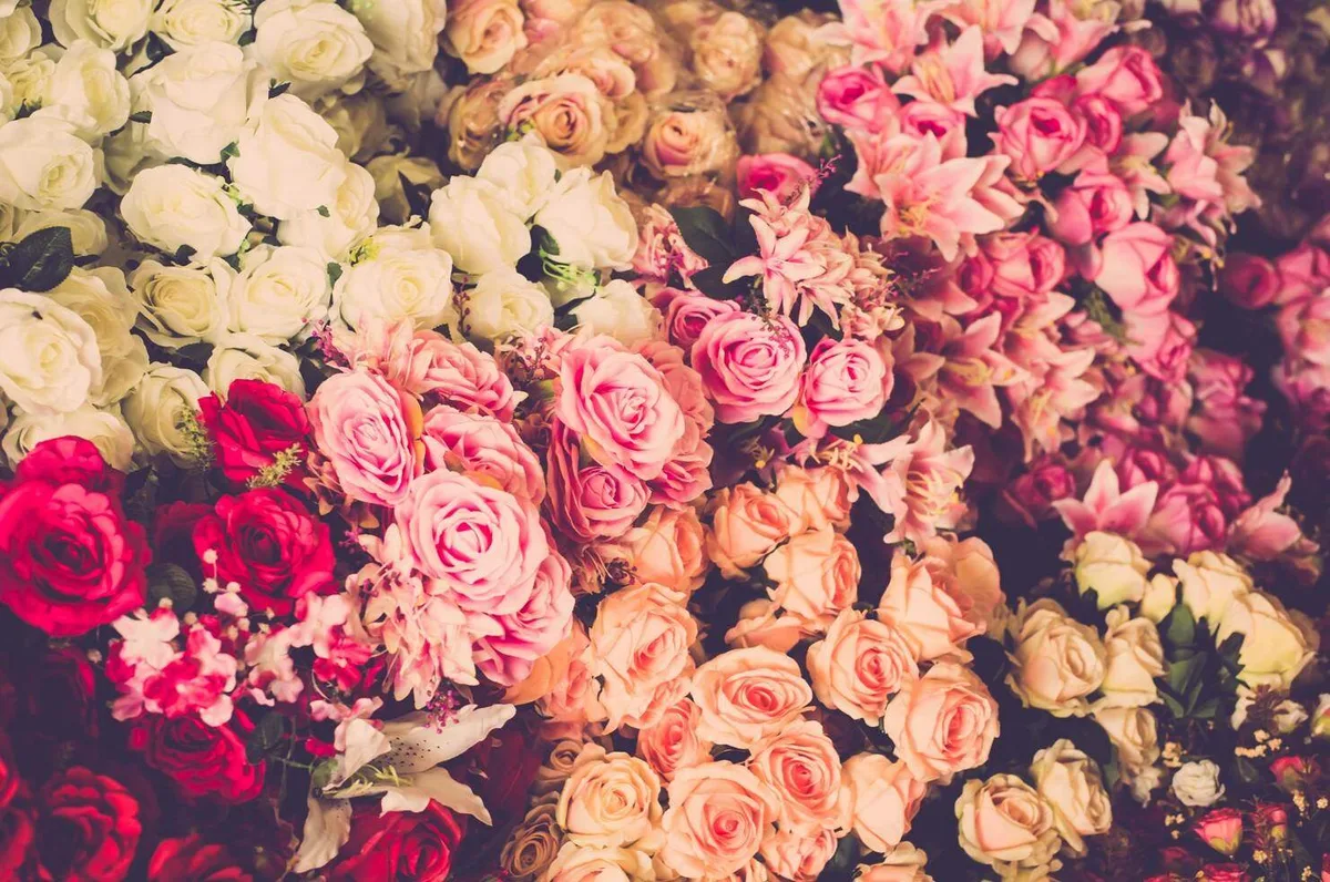 Pushish Images / Shutterstock