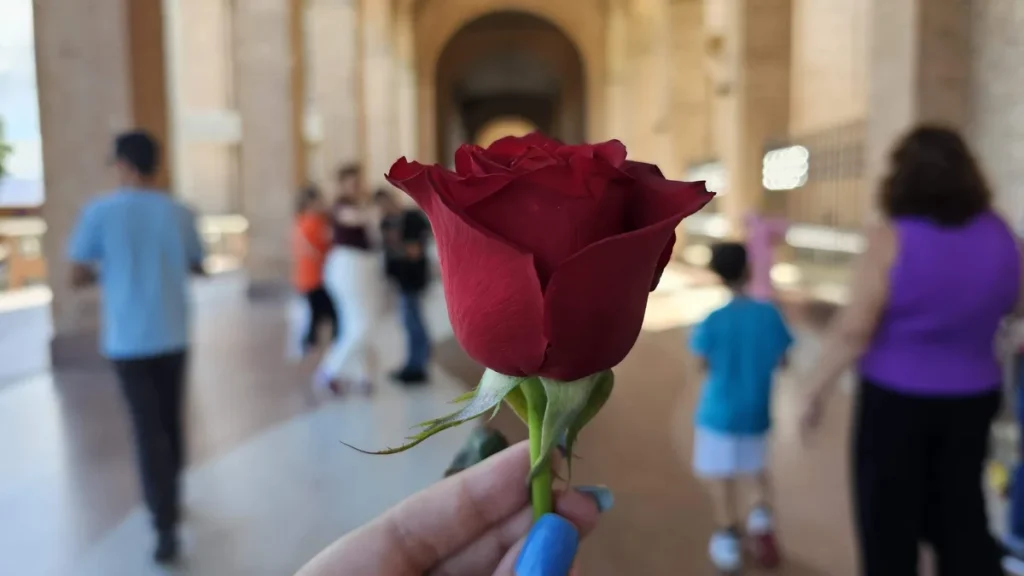 Imagem Mao segurando rosa do artigo Devotos de Nossa Senhora recebem flores no Santuário Nacional