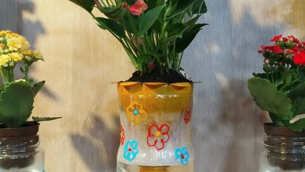 Imagem vaso anti dengue do artigo Vaso anti-dengue de garrafa PET - Faça Você Mesmo