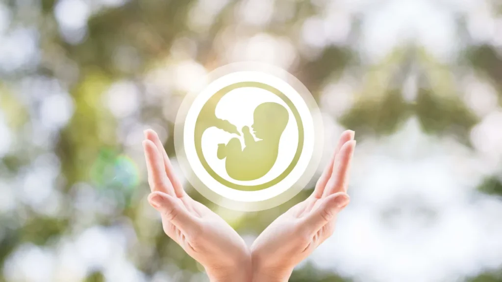 Imagem aborto favor a vida do artigo Advogados católicos se pronunciam a favor da vida