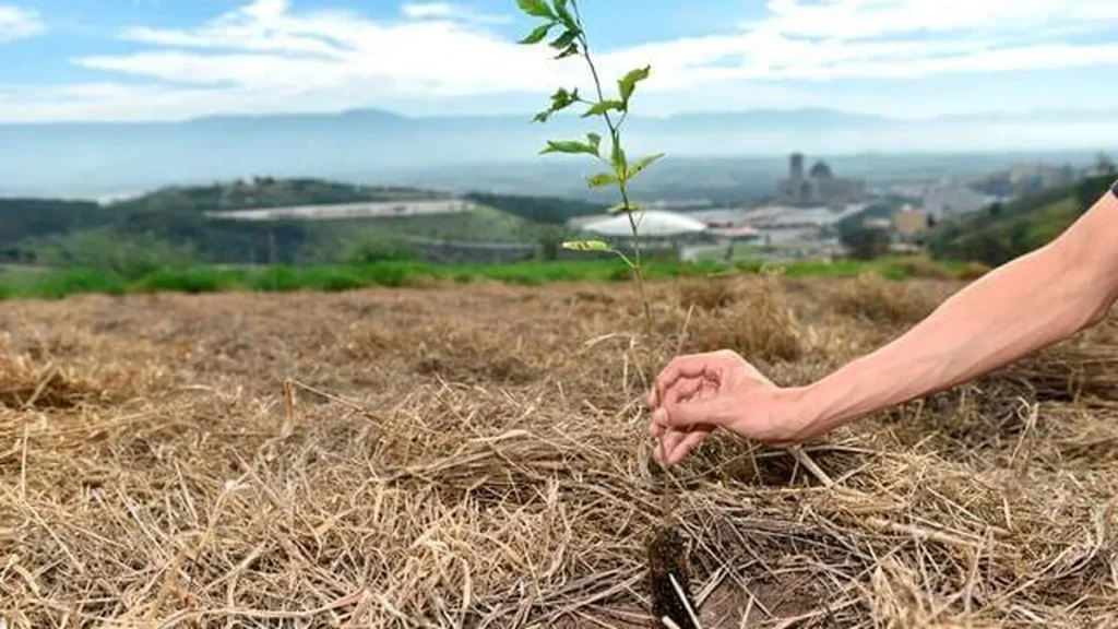 Workshop em Aparecida marca maior plantio de árvores da história do Vale do Paraíba