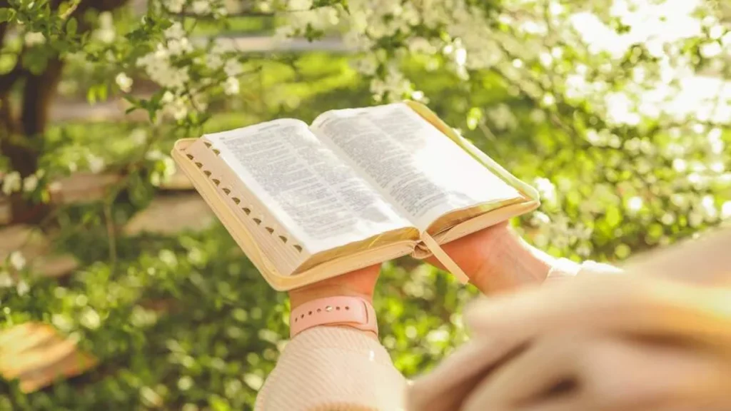 Imagem pessoa segura a biblia sagrada aberta do artigo Qual a relação entre o Antigo e o Novo Testamento?