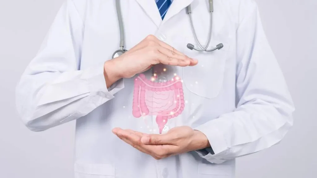 Imagem Saude intestinal do artigo Síndrome Fúngica e o tratamento nutricional