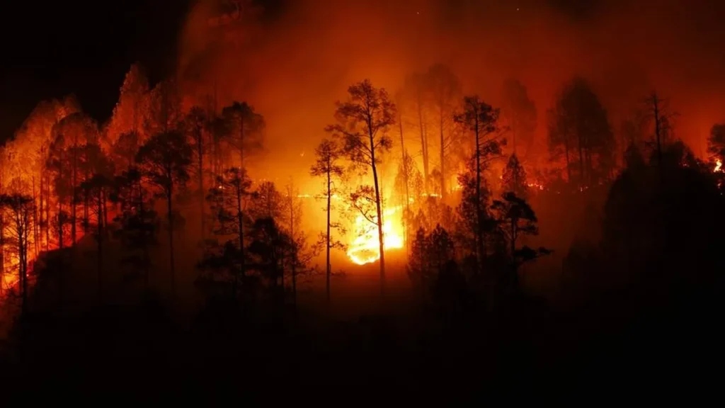 Imagem Queimadas do artigo O Papa pede orações e nos convida a ouvir “o grito da Terra”