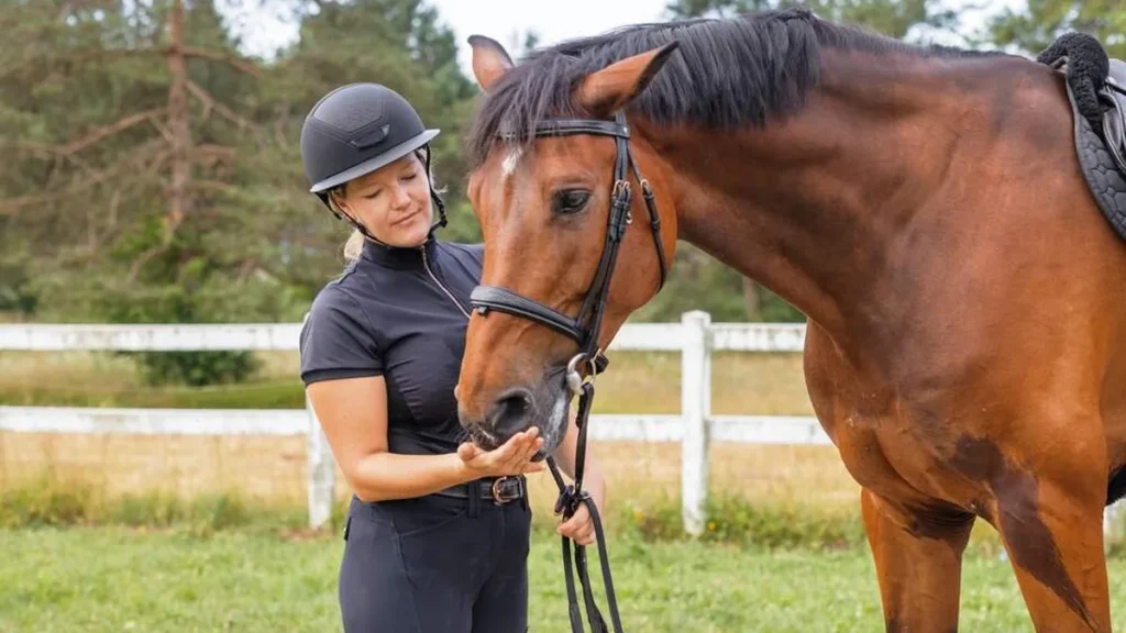Imagem Mulher cuidando o cavalo do artigo O que você precisa saber antes de criar um cavalo