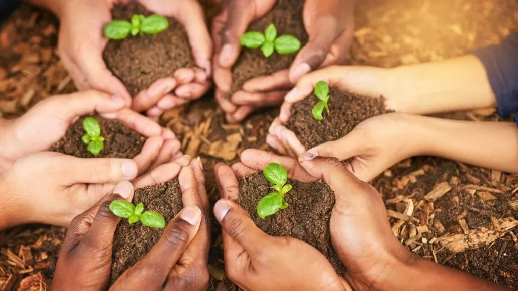 Imagem Maos plantando arvores do artigo CF 2025: Por que é tão importante falarmos sobre Ecologia?