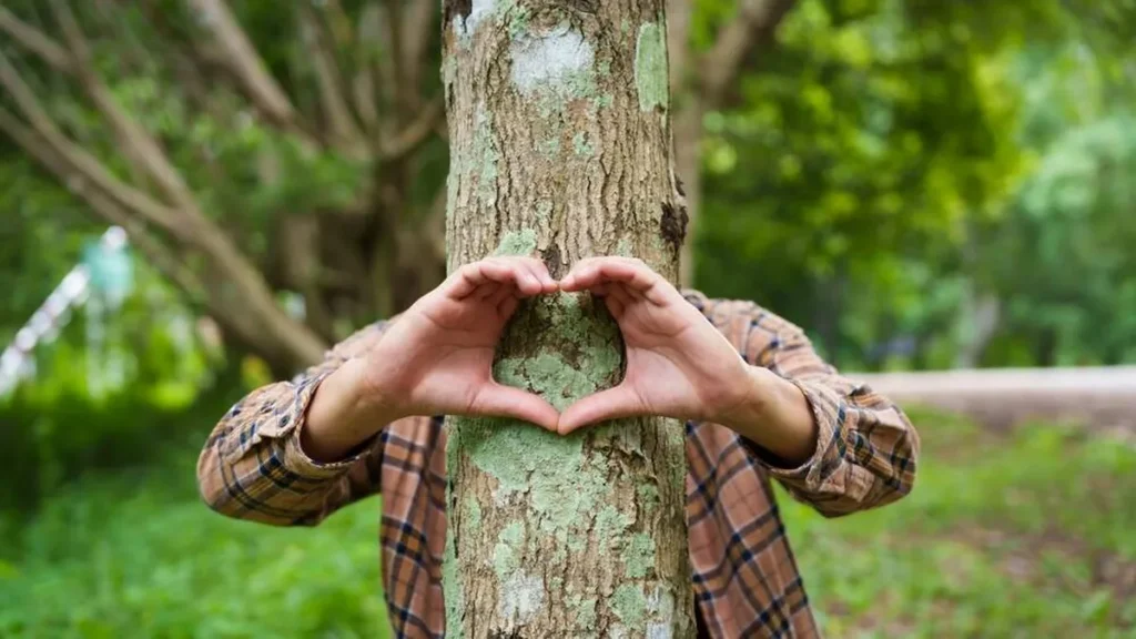 Imagem Conservacionista florestal forma um coracao com as maos em volta de um tronco de arvore em um parque do artigo 8 Campanhas da Fraternidade que trataram da temática da Ecologia