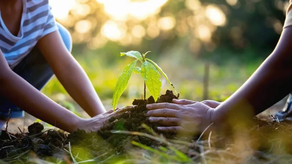 Imagem Plantando arvore do artigo Por que a Igreja no Brasil vai abordar a Ecologia Integral neste ano?