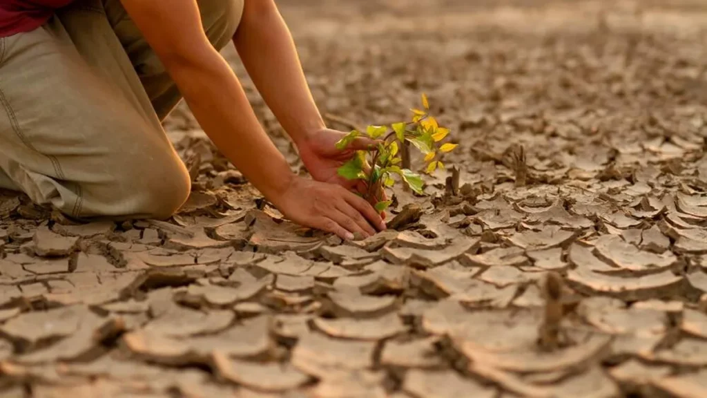 Imagem solo do artigo O papel da Igreja diante do caos climático e social