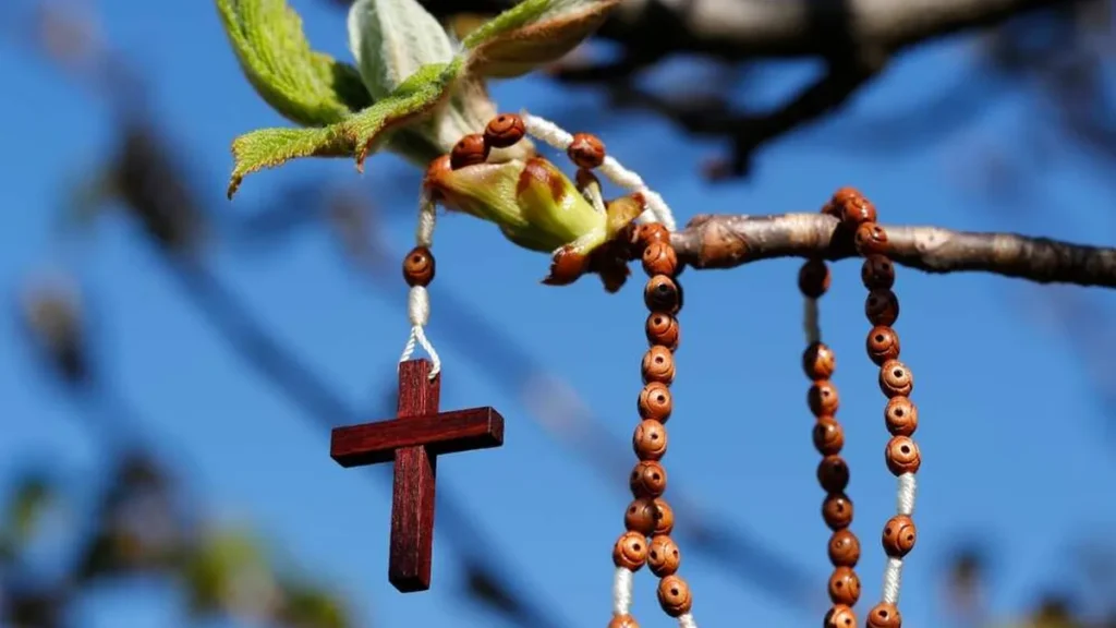 Imagem Ecologia e Igreja do artigo Campanha da Fraternidade 2025 proporciona a vivência da profecia