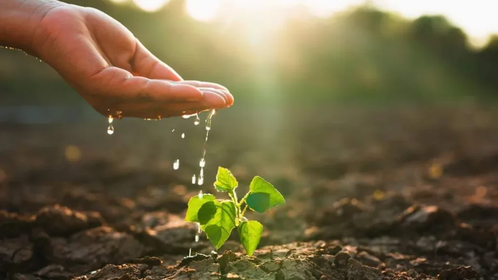Imagem mao regando a terra do artigo Fraternidade e Ecologia Integral: sua missão é cuidar da água