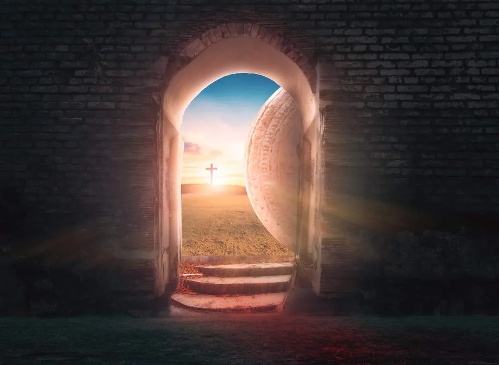 Paul shuang/ shutterstock