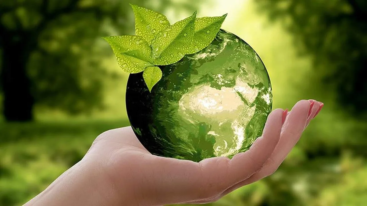 Site Laudato Si Movement