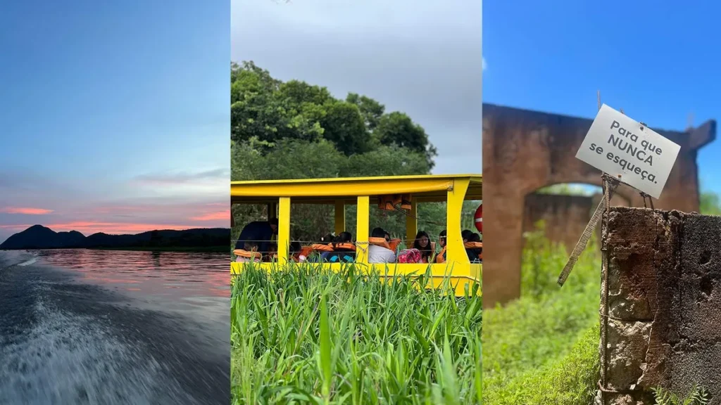 Imagem ECOLOGIA INTEGRAL IMAGEM DESTAQUE do artigo ACONTECEU NA AMA: 5ª Semana Mariológica, reflete a importância do cuidado com a Casa Comum