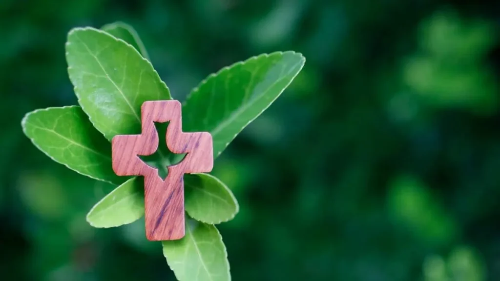 Imagem planta verde com uma cruz sobreposta do artigo Cuidar da Casa Comum é um ato de amor