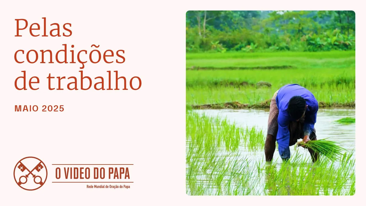Rede Mundial de Oração do Papa/Reprodução