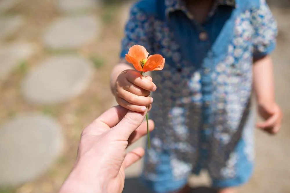 Hakase_420/shutterstock