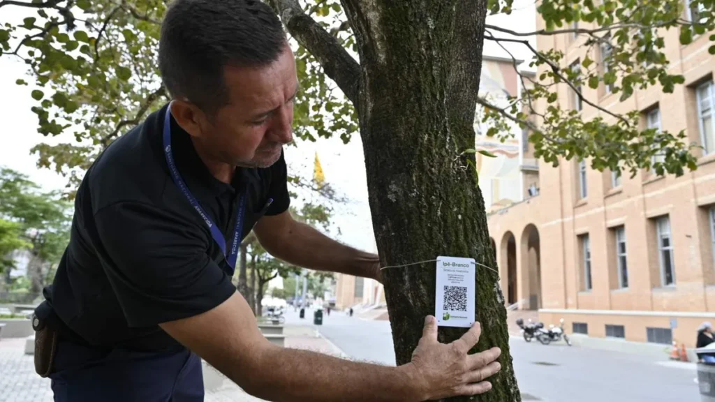 Imagem WhatsApp Image 2025 07 02 at 15.51.26 do artigo Santuário Nacional identifica espécies de árvores com QR Code