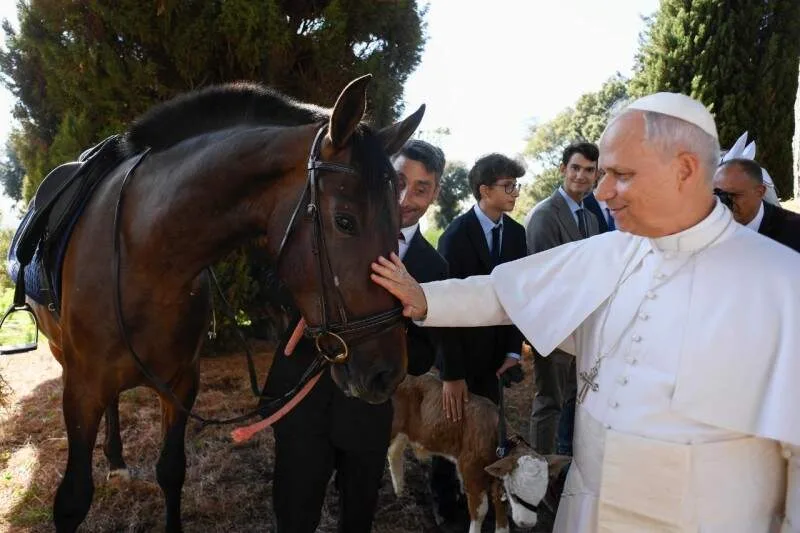Vatican Media
