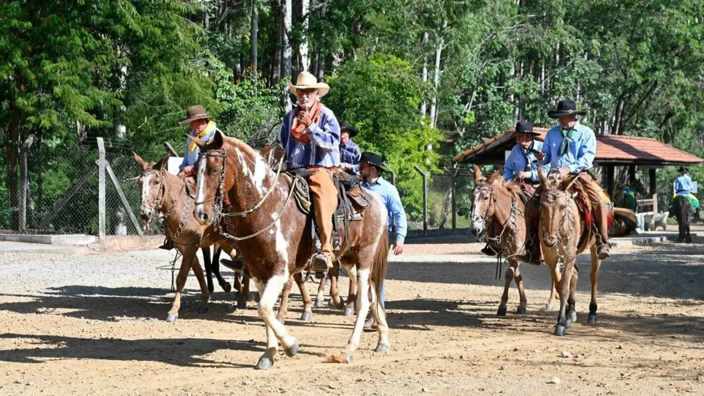 Imagem receptivo equestre do artigo Confira dicas para uma experiência segura nas romarias a cavalo